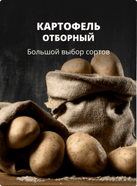 Баннер